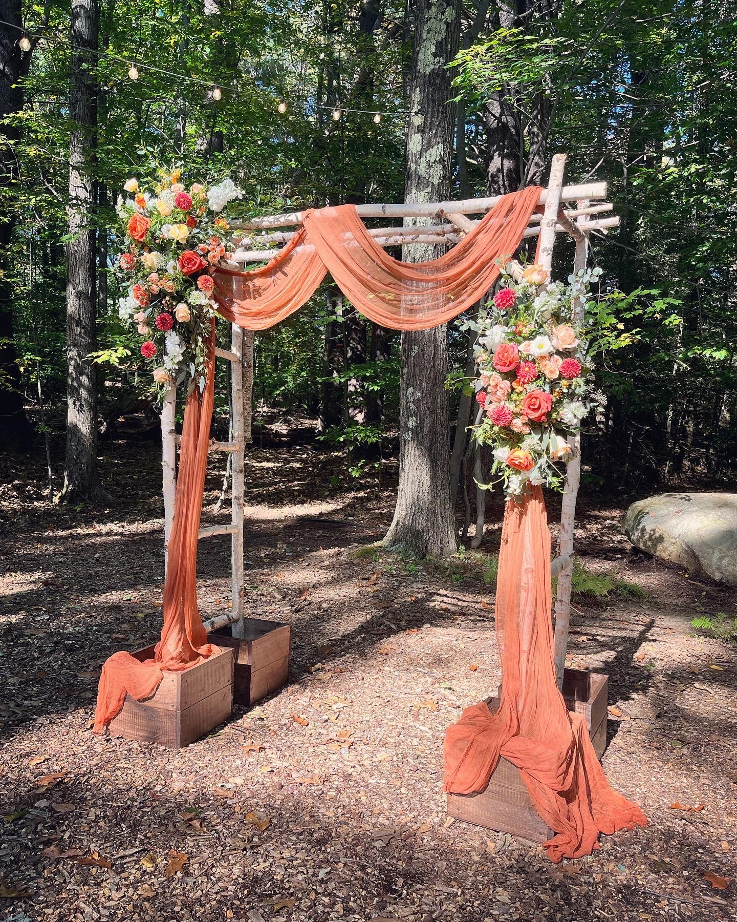 arbor